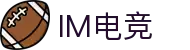 IM(股份有限公司)电竞-电子竞技平台